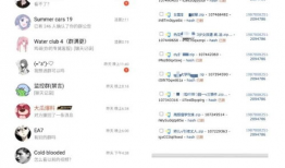 各种新闻爆料吃瓜视频下载,新闻爆料与吃瓜视频背后的下载狂潮